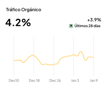 reporte de resultados seo trafico organico bambu lead generation